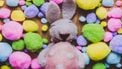Kleurige Paastaferelen: de leukste spelletjes om te doen tijdens Pasen