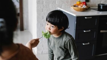 Kind dat meer groenten moet leren eten en een blaadje sla gevoerd krijgt