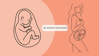 28 weken zwanger