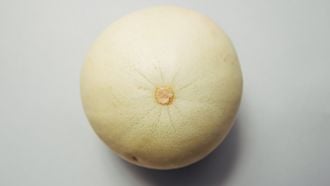Een meloen die symbool staat voor een borst en tepel zonder bultjes