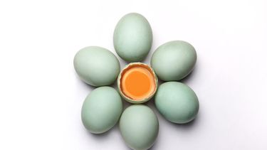 een bloem van eieren die symbool staan voor de ovulatie, ofwel eisprong