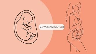 Zwangerschapskalender 21 weken zwanger