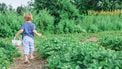 moestuin met kinderen