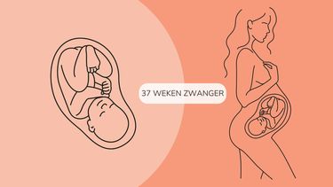 37 weken zwanger