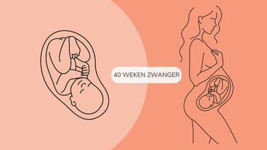 40 weken zwanger