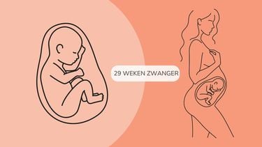 29 weken zwanger