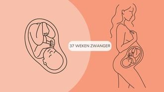 37 weken zwanger