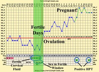 Ontdek Je Eisprong Met De Basale Temperatuurmethode Famme Nl