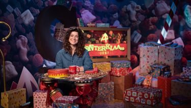 Sinterklaasjournaal