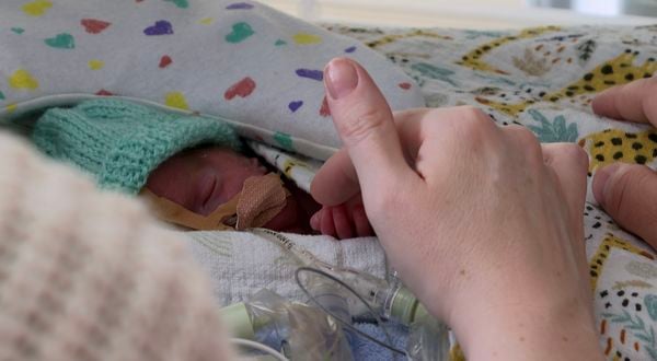 Baby Dex handen aan de couveuse