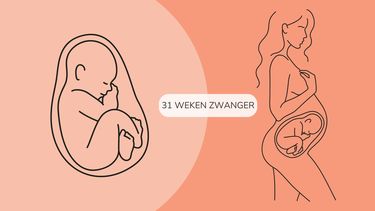 31 weken zwanger