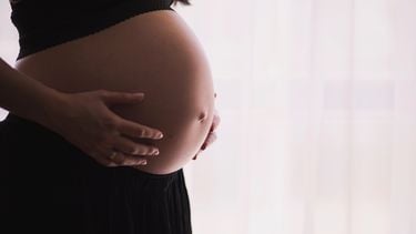 draagmoeder, wetsvoorstel, zwanger