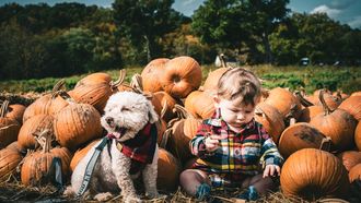dingen doen baby dreumes herfst