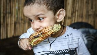 Kind die vegetariër is geworden en maïs eet