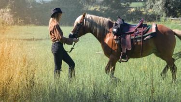 Waarom vrouwen van paarden houden