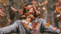 herfst