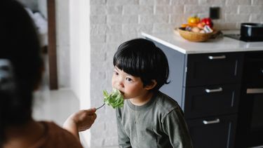 Kind dat meer groenten moet leren eten en een blaadje sla gevoerd krijgt