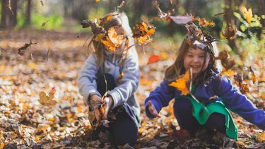 Kinderen die buiten spelen met herfstbladeren en geen behoefte hebben aan meer