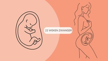 22 weken zwanger